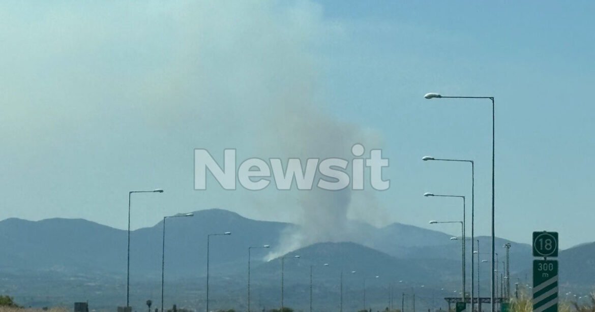 Φωτιά στην περιοχή Πετράλωνα Μεσσήνης: Μήνυμα του 112 – «Απομακρυνθείτε προς Μελιγαλά»