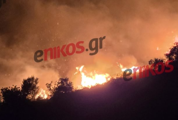 Κεφαλονιά: Φωτιά στην περιοχή Φαρακλάτα – Συναγερμός στην Πυροσβεστική – Δείτε φωτογραφίες και βίντεο