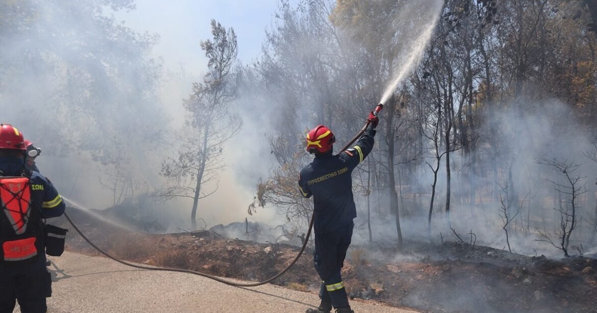 Φωτιά στην Κεφαλονιά: Καίγεται δάσος στην περιοχή Αθέρας – Μήνυμα του 112 για εκκένωση