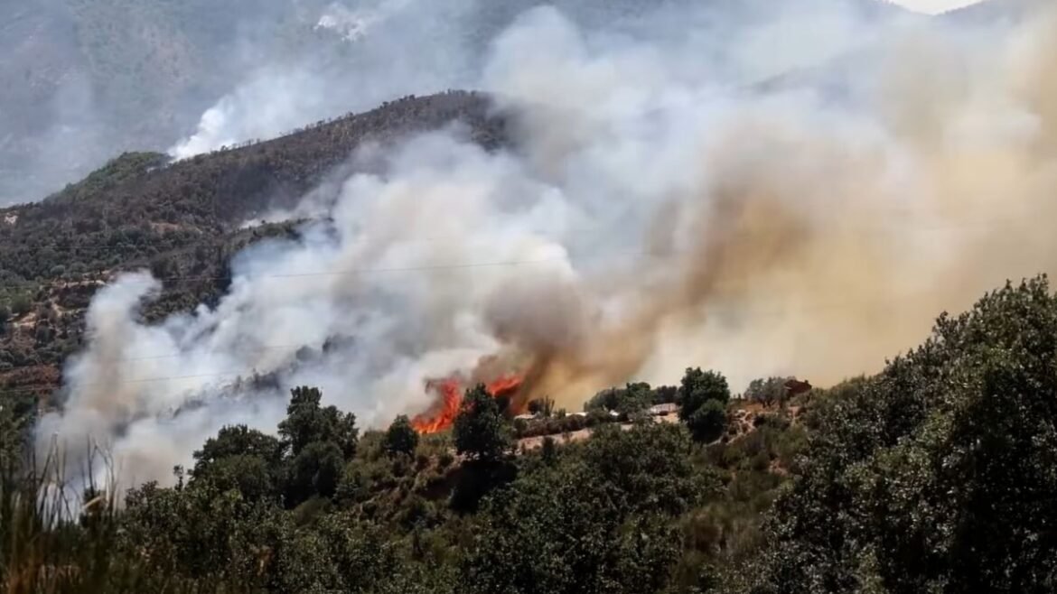 Ανεξέλεγκτες οι φωτιές στην Αλβανία: Στις φλόγες μειονοτικά χωριά – Απειλούνται εγκαταστάσεις υγραερίου