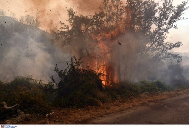Φωτιά στην Πάτρα: Δραματικές στιγμές σε Ρωμανό και Αρόη – Συγκλονιστικές εικόνες και βίντεο από το πύρινο