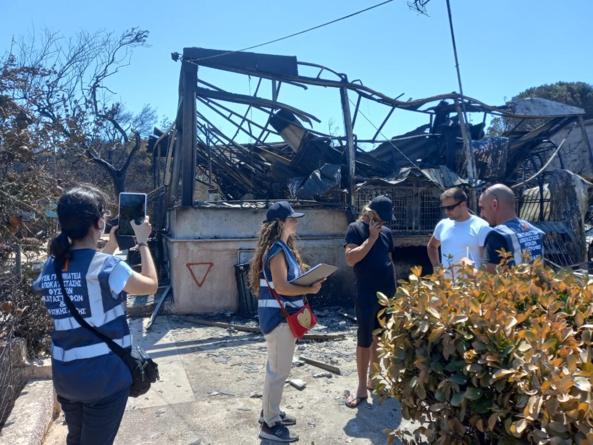 Ολοκληρώθηκαν οι αυτοψίες για τις ζημιές από την πρόσφατη πυρκαγιά στους δήμους Λαυρεωτικής και Σαρωνικού –