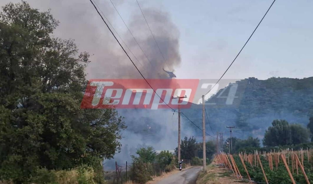 Φωτιές σε Πάτρα και Χίο: Μηνύματα από το 112 για εκκενώσεις περιοχών για 3η ημέρα – ΦΩΤΟ και ΒΙΝΤΕΟ