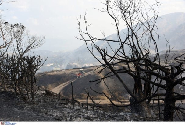 Πάτρα: Σε ύφεση η φωτιά στα Συχαινά – Ελικόπτερο επιχειρεί υπό των φόβο αναζωπυρώσεων 
