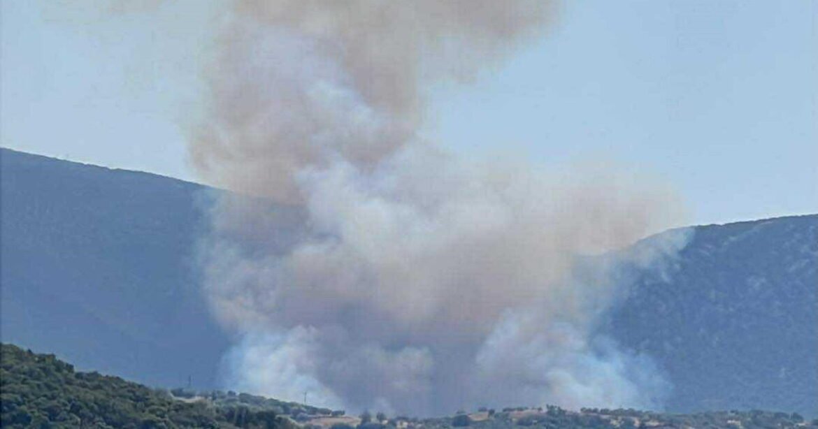 Φωτιά στην Πελέη Αργολίδας – Επιχειρούν και εναέριες δυνάμεις