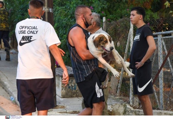 Φωτιά στην Αχαΐα: «Μαμά, μαμά, βοήθεια…» – Εθελοντής αφηγείται πώς έζησε τις ώρες της απόλυτης καταστροφής