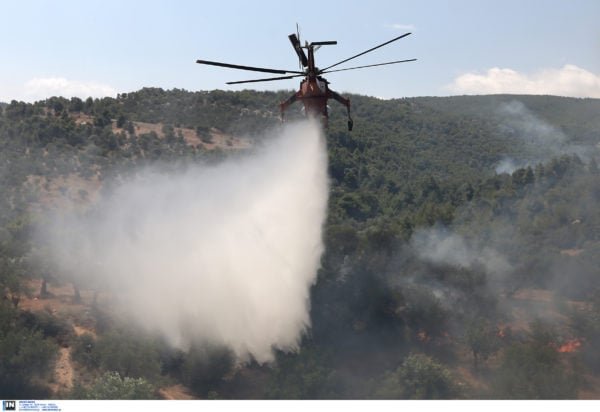 Φωτιά στη Μάνη – Σηκώθηκαν 3 εναέρια μέσα 