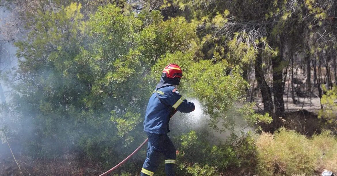 Φωτιά στη Θεσπρωτία στην περιοχή Μαλούνι: Επιχειρούν εναέρια μέσα – Ήχησε το 112 για «ετοιμότητα»