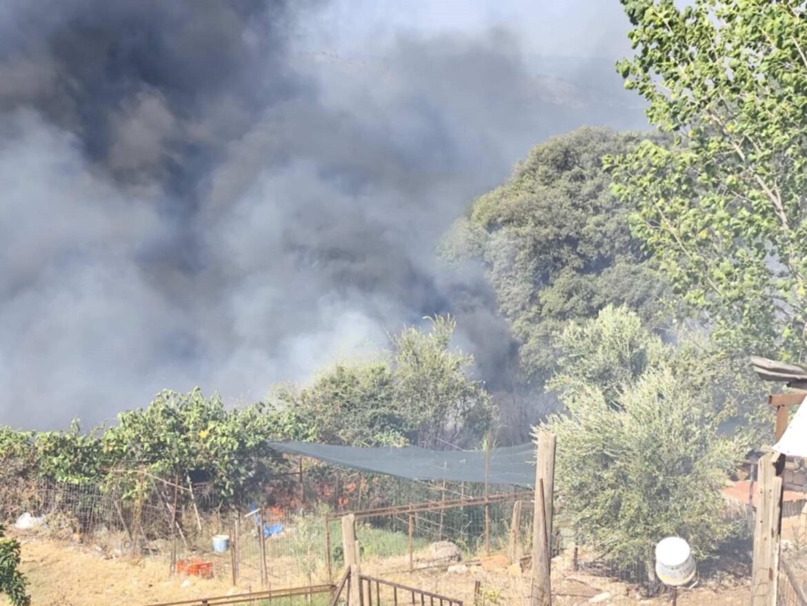 Φωτιά στην Πρέβεζα: Πάνω από 34 χιλιάδες στρέμματα έγιναν στάχτη σύμφωνα με την υπηρεσία Copernicus – ΦΩΤΟ