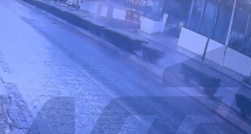 Νέα Χαλκηδόνα: Βίντεο ντοκουμέντο από την στιγμή της εκτροπής του πυροσβεστικού οχήματος – Εκτός κινδύνου ο