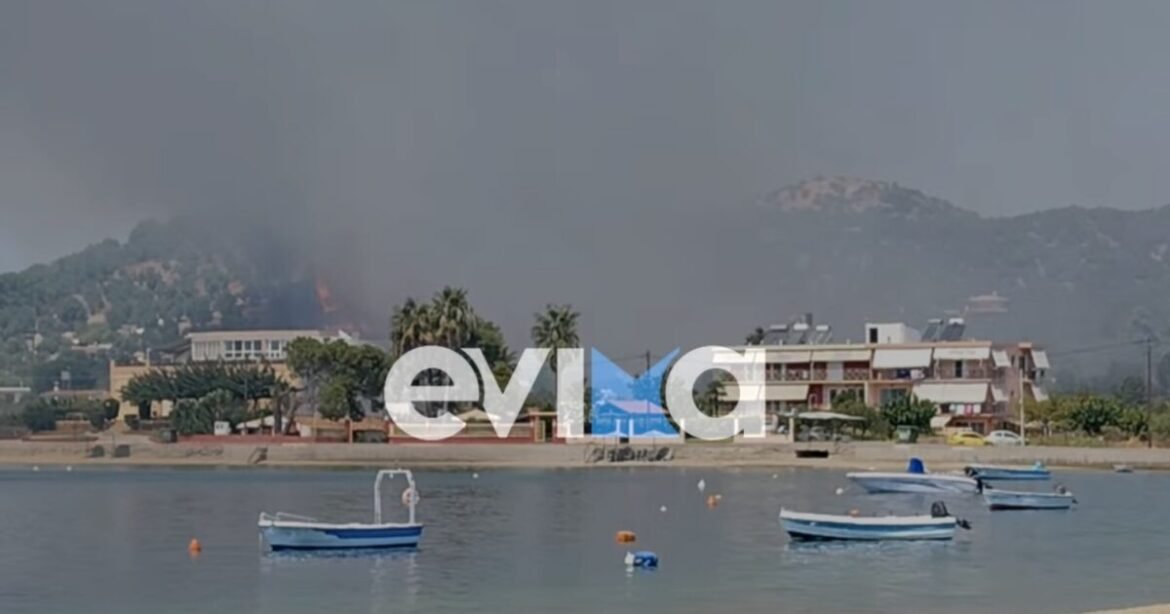 Φωτιά στην Εύβοια κοντά στην Αιδηψό – Ισχυρές πυροσβεστικές δυνάμεις στο σημείο