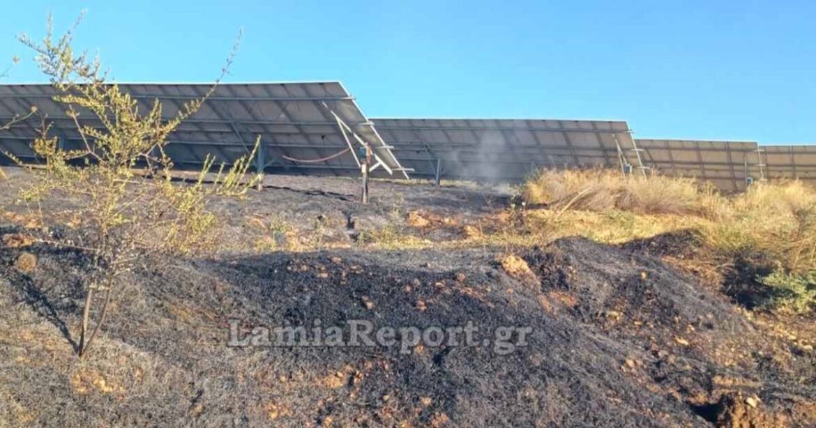 Φωτιά σε δασική έκταση στον Άγιο Στέφανο Δομοκού – Καίει δίπλα σε φωτοβολταϊκό πάρκο