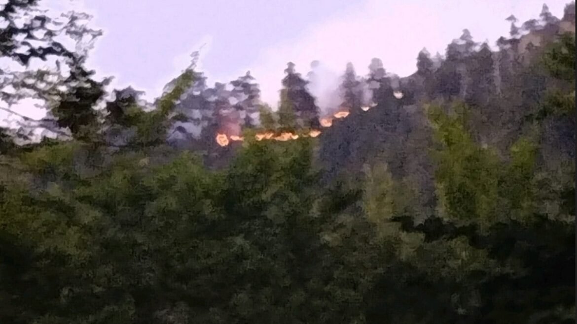 Φωτιά στον Εθνικό Δρυμό της Βάλια Κάλντα – Ξέσπασε σε δύσβατο σημείο από κεραυνό