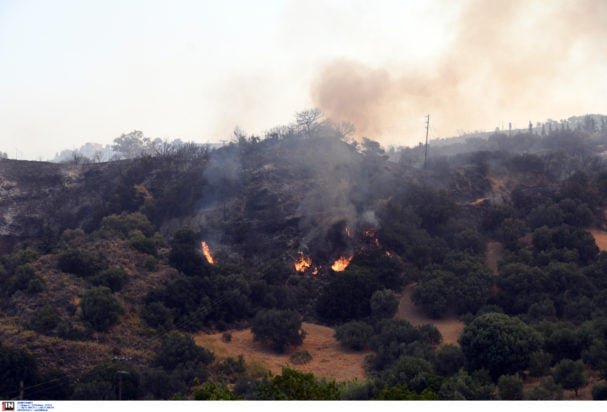 Πυροσβεστική: 30 αγροτοδασικές πυρκαγιές το τελευταίο 24ωρο