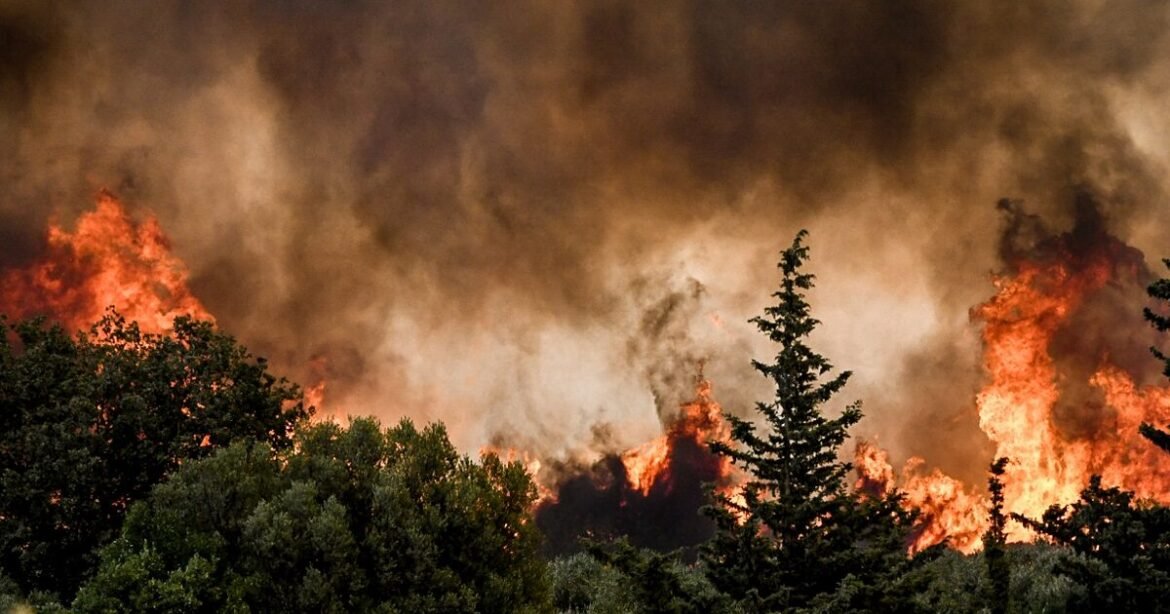 Φωτιά στα Τρίκαλα στην περιοχή Μυρόφυλλο – Κινητοποιήθηκαν επίγειες και εναέριες δυνάμεις
