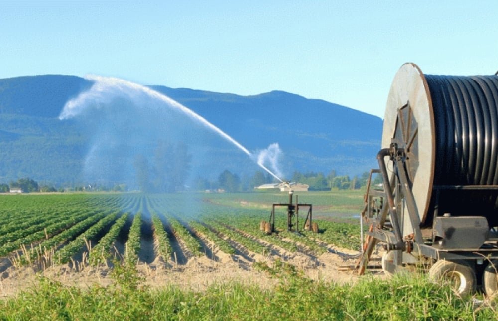 Έλεγχος στις αγροτικές αποζημιώσεις: Στο «μικροσκόπιο» και ο ΕΛΓΑ – Τι απαντά ο πρόεδρος του Οργανισμού