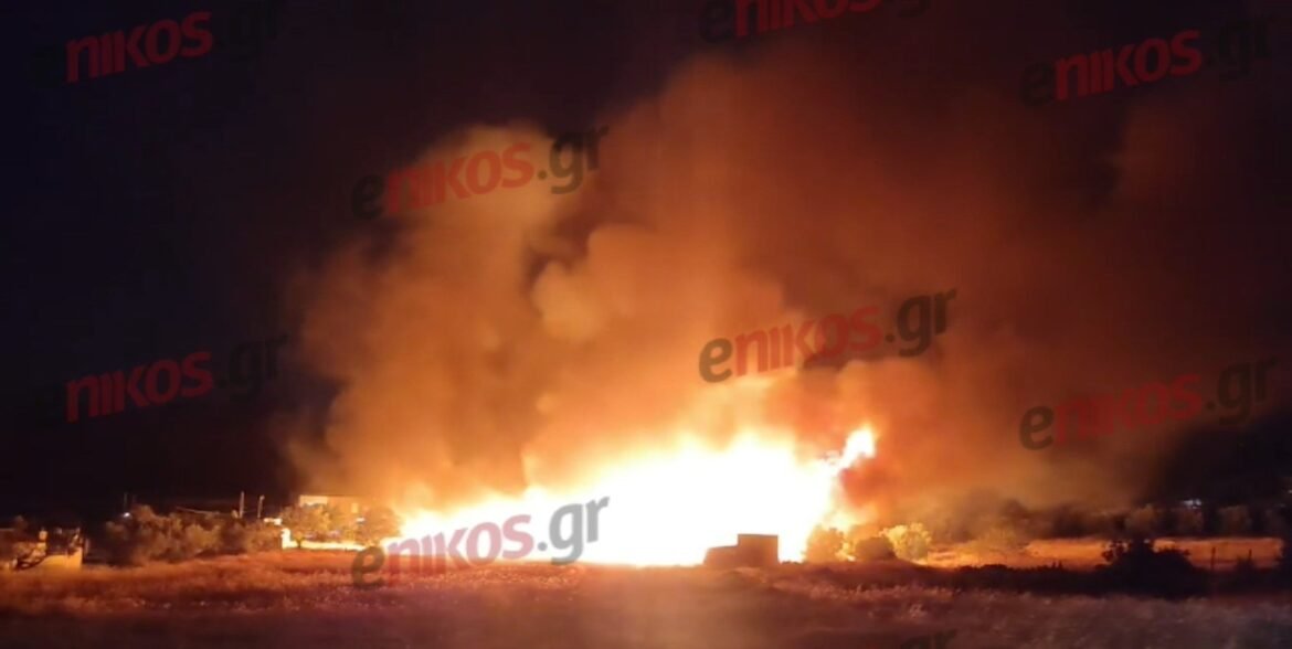 Συνελήφθη 40χρονος για τη φωτιά στη Σαλαμίνα – Το πάρτι και το δυναμιτάκι