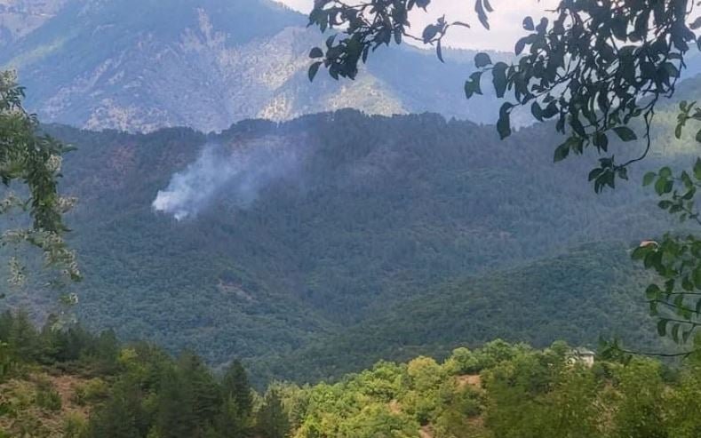 Ιωάννινα: Φωτιά στην περιοχή Λάιστα 