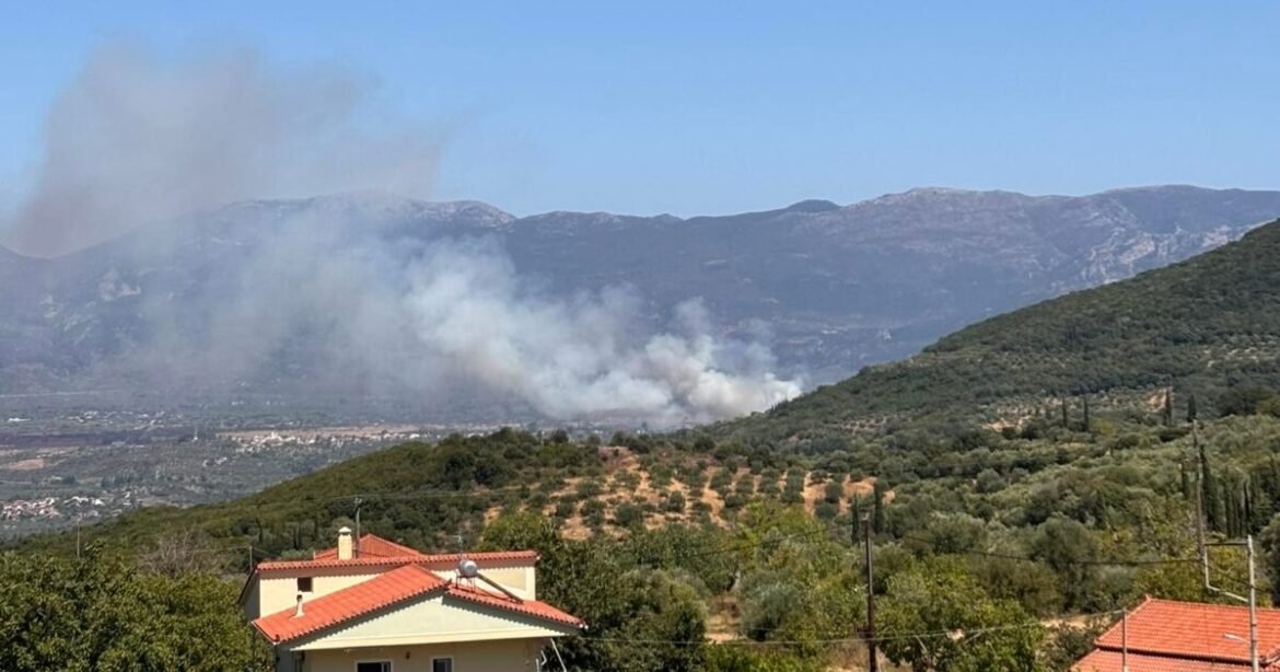 Οριοθετήθηκε η φωτιά στον Μελιγαλά: Σηκώθηκαν εναέρια – Ήχησε το 112 για απομάκρυνση