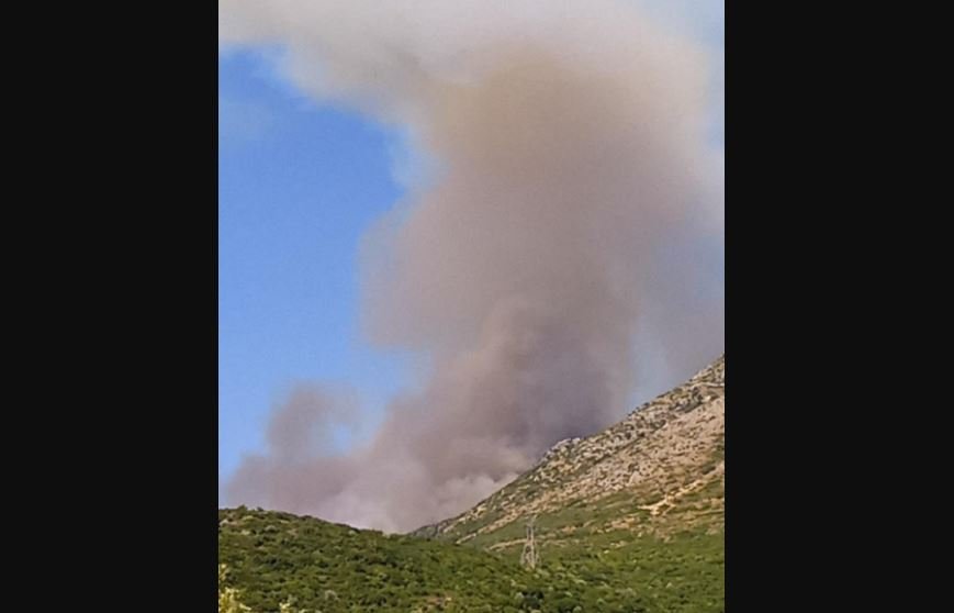 Θεσπρωτία: Σε ύφεση η φωτιά στην περιοχή Χόικα