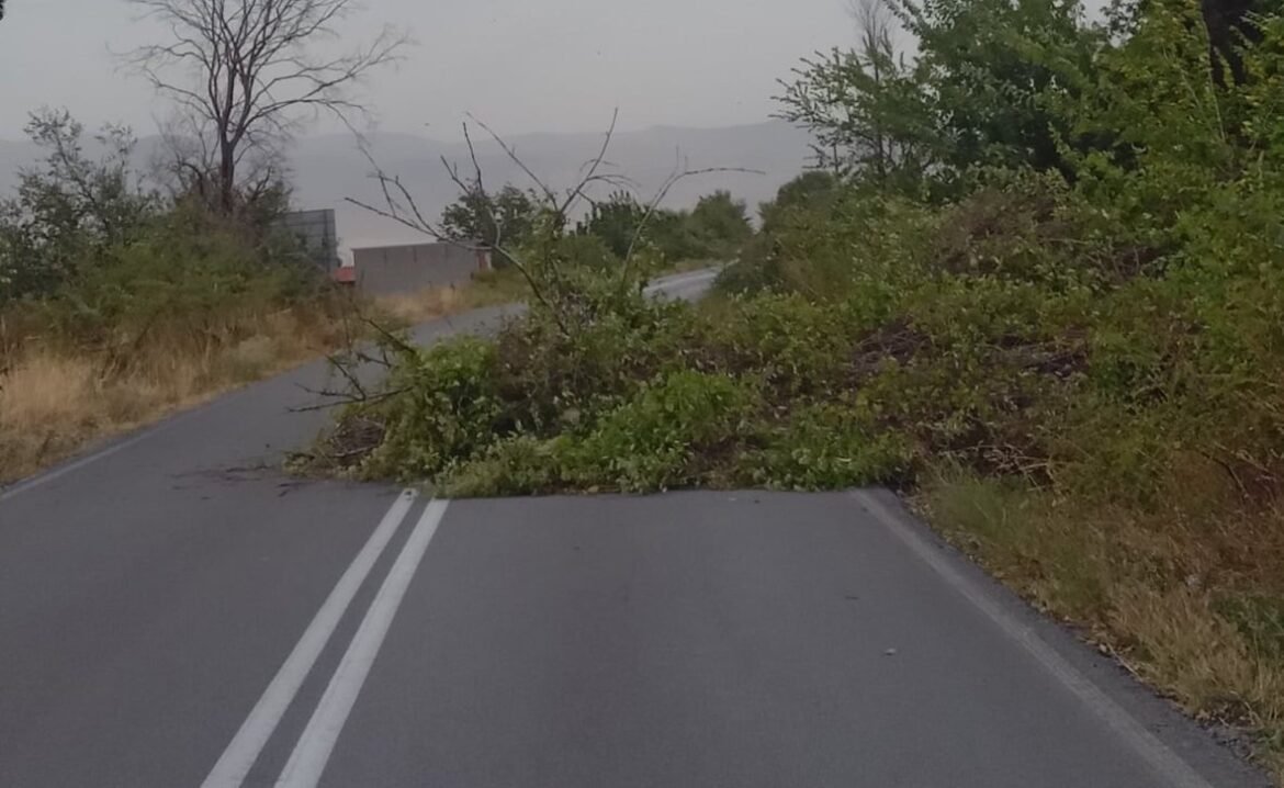 Κακοκαιρία: Ισχυροί άνεμοι «σαρώνουν» την Κοζάνη – Πτώσεις δέντρων – ΦΩΤΟ και ΒΙΝΤΕΟ