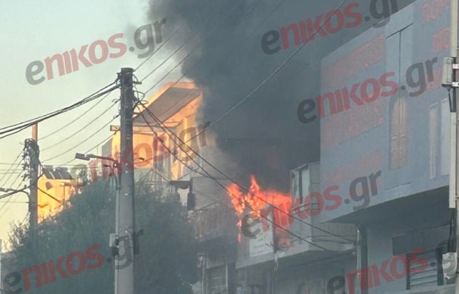 Φωτιά σε χώρο επιχείρησης στο Περιστέρι – ΦΩΤΟ αναγνώστη