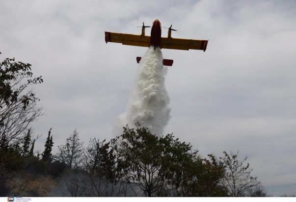 Φωτιά στην Αρκαδία