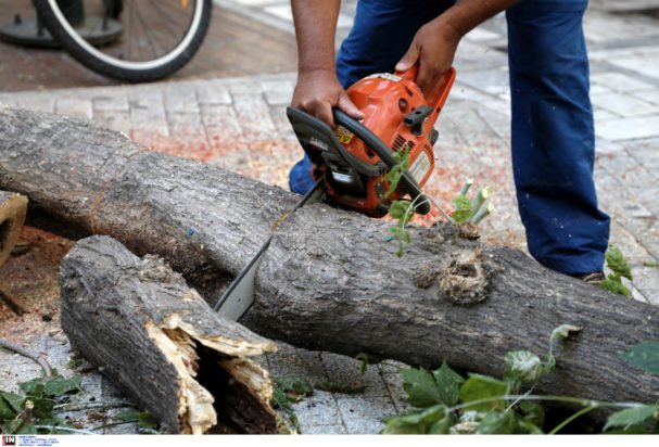 Θεσσαλονίκη: «Μου έριξε μια μπουνιά και μου κόπηκε η αναπνοή, φοβήθηκα για την ζωή μου» λέει ο δημοτικός