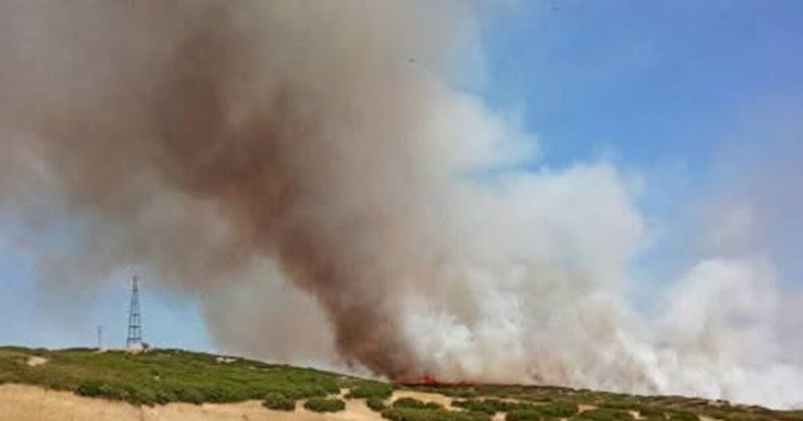 Φωτιά στην Λάρισα στην περιοχή των Φαρσάλων: Επιχειρούν εναέρια μέσα – Ήχησε το 112 «παραμείνετε σε ετοιμότητα»