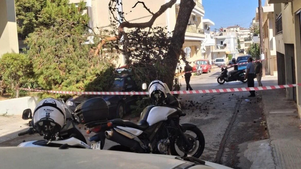 Ηράκλειο: Μεγάλο κλαδί δέντρου καταπλάκωσε σταθμευμένο αυτοκίνητο στον Μασταμπά