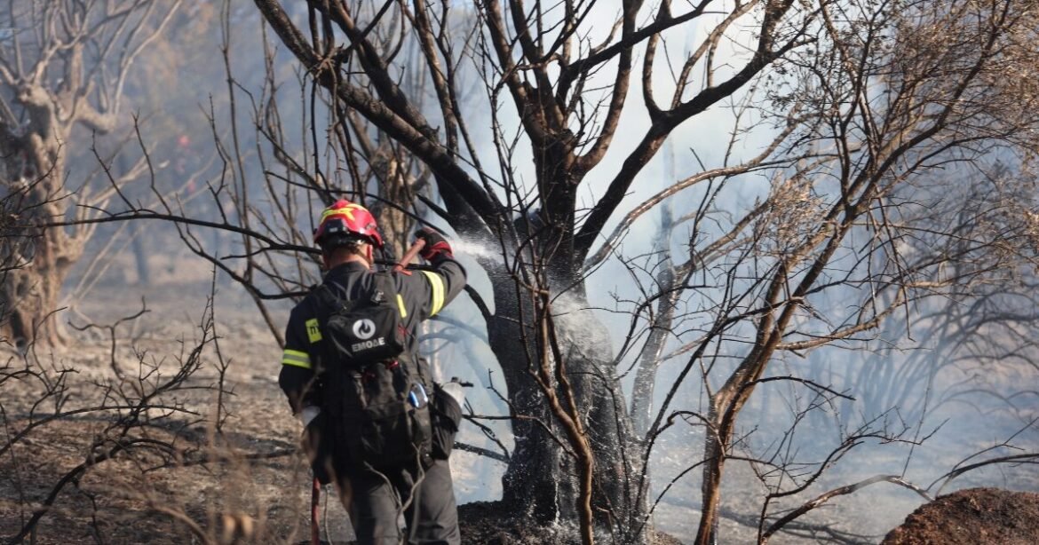 Φωτιά στο Συκάμινο Ωρωπού – Καίει μέσα σε χαράδρα