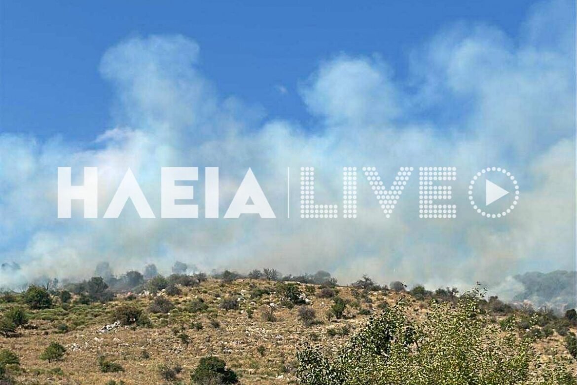 Ηλεία: Μεγάλη φωτιά στις πλαγιές του Ερυμάνθου – ΦΩΤΟ