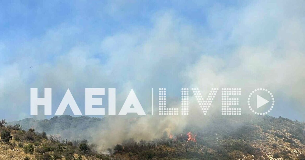 Φωτιά στην αρχαία Ολυμπία στον οικισμό Σπαρτούρια: Επιχειρούν εναέρια μέσα