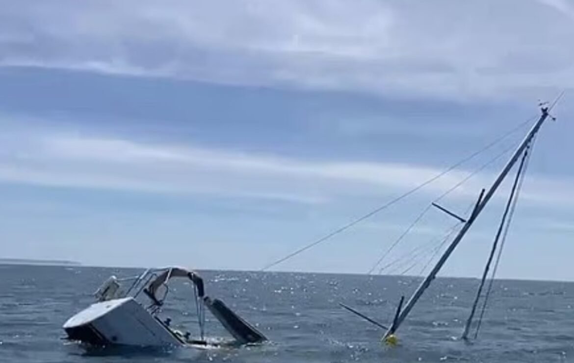 Πορτογαλία: Όρκες επιτέθηκαν σε τουριστικό σκάφος και το βούλιαξαν (Βίντεο)