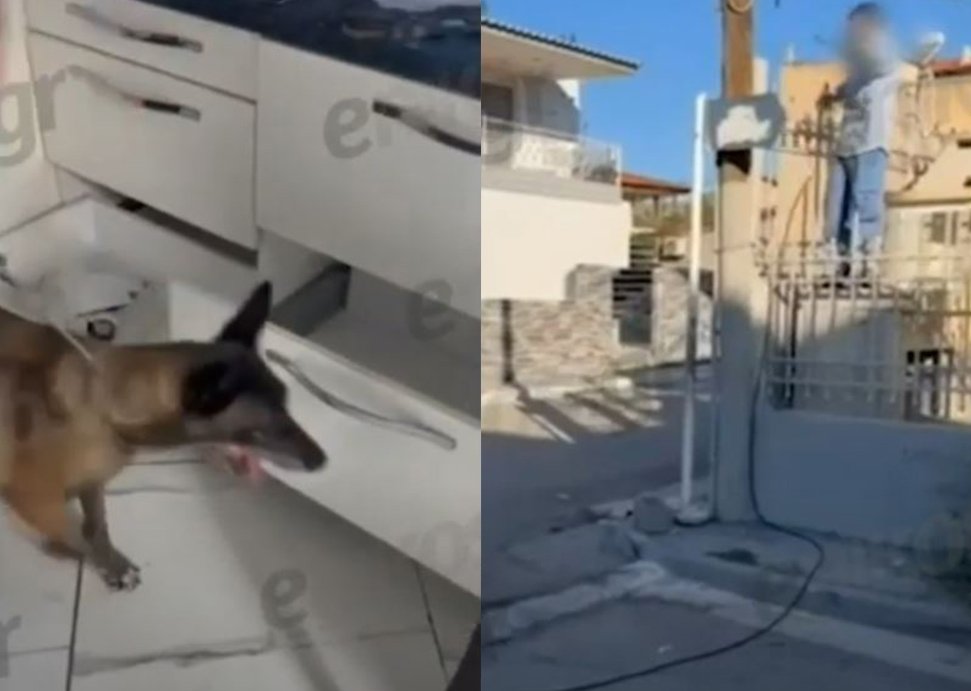 Δυτική Αττική: 8 συλλήψεις σε νέα επιχείρηση της ΕΛ.ΑΣ. – Δείτε το ΒΙΝΤΕΟ