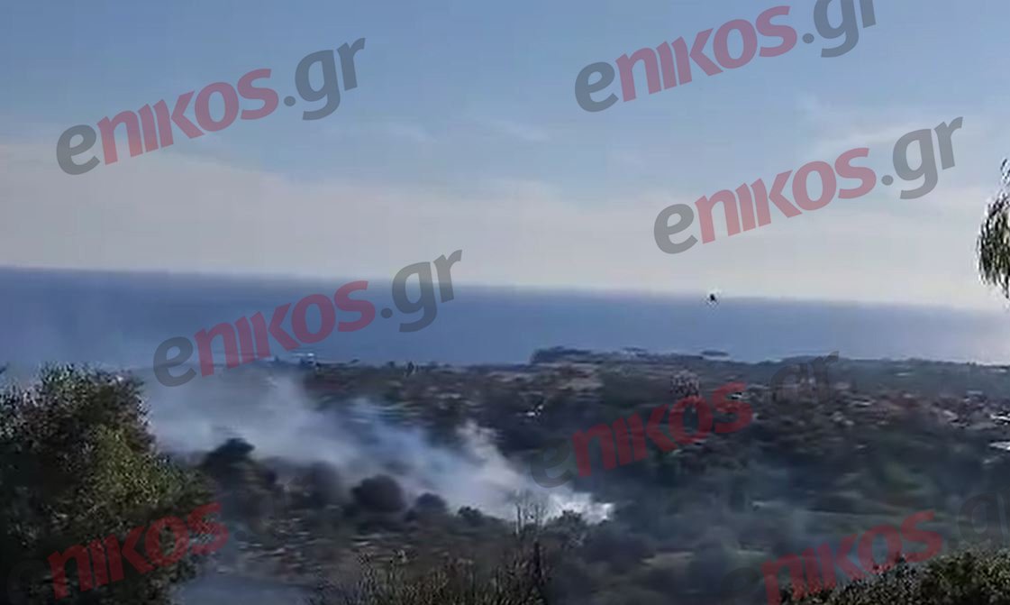 Κεφαλονιά: Χωρίς ενεργό μέτωπο η φωτιά στα Μεταξάτα – ΦΩΤΟ και ΒΙΝΤΕΟ αναγνώστη