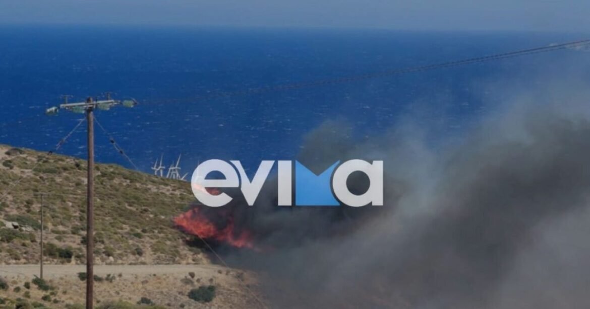 Φωτιά στην Κάρυστο, στην περιοχή Αντιάς – Σηκώθηκαν 6 εναέρια μέσα