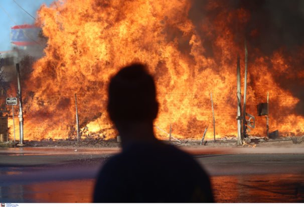 Φωτιά στις Αχαρνές: Κάηκαν ολοσχερώς επιχειρήσεις ξυλείας και υποδημάτων – Συγκλονίζουν οι εικόνες με τους πυροσβέστες να σώζουν γατάκια –