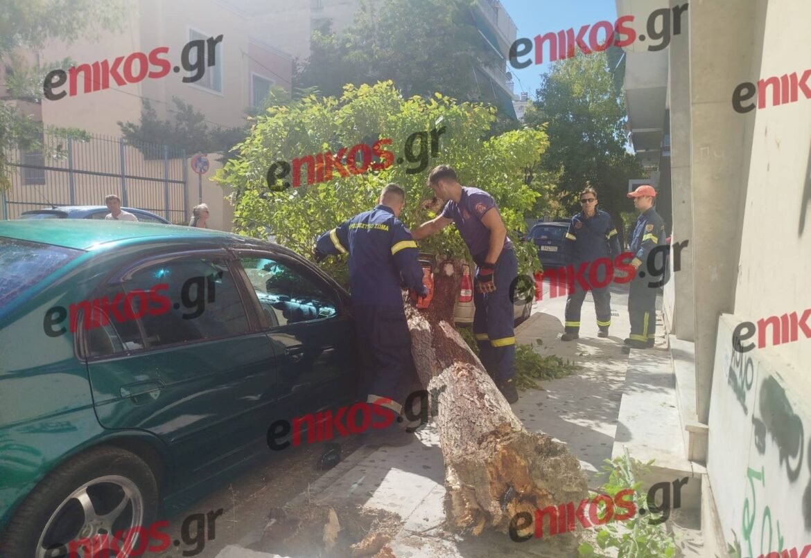 Δήμος Αθηναίων για πτώση δέντρου στην πλατεία Αγίας Ειρήνης: «Oφείλεται στους δυνατούς ανέμους» – Πού αλλού