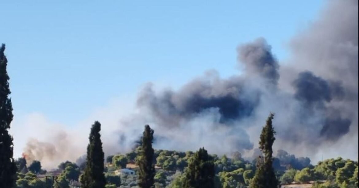 Φωτιά στην Αργολίδα – Μήνυμα από το 112 «παραμείνετε σε ετοιμότητα»