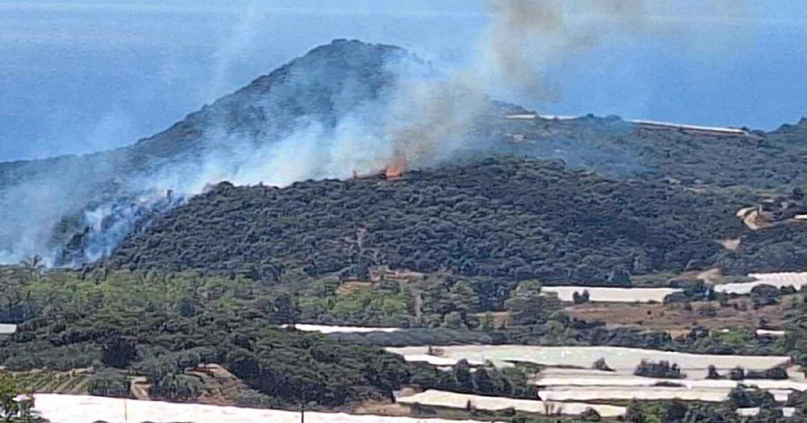Φωτιά στο Μυρτόφυτο Καβάλας – Σηκώθηκαν 2 αεροπλάνα και 1 ελικόπτερο