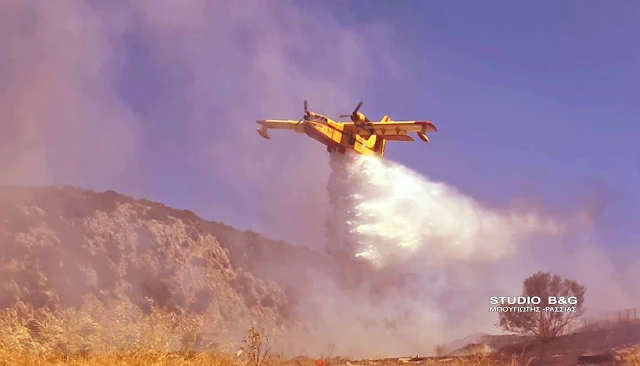 Αργολίδα: Σε ύφεση και χωρίς ενεργό μέτωπο η φωτιά σε δασική έκταση