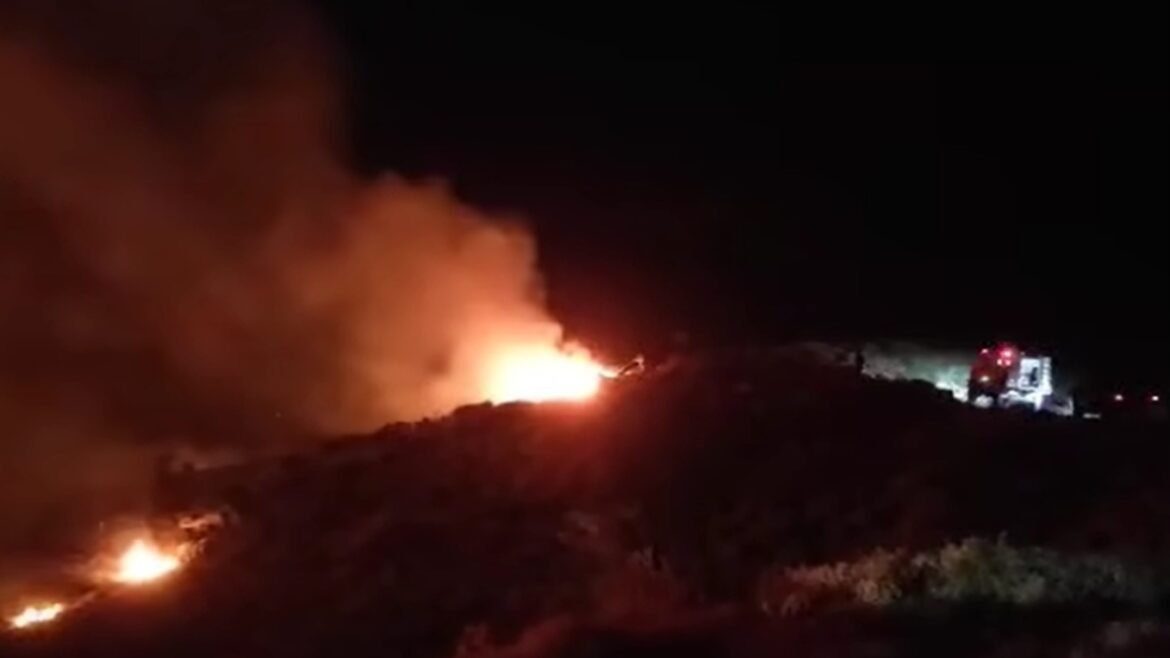 Ρέθυμνο: Φωτιά σε δασική έκταση κοντά στα Ανώγεια – Δεν απειλούνται σπίτια