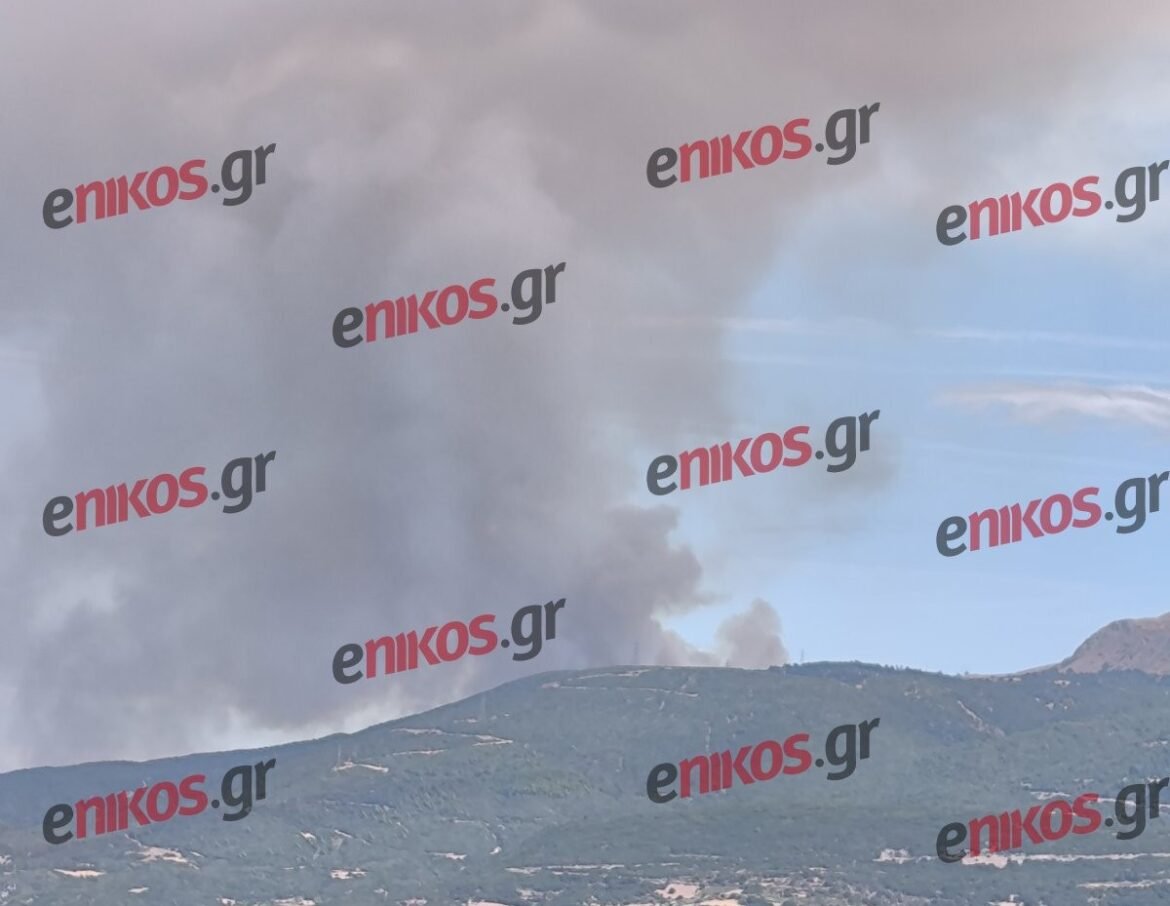 Πάτρα: Φωτιά σε δασική έκταση στο Άνω Καστρίτσι – ΦΩΤΟ αναγνώστη