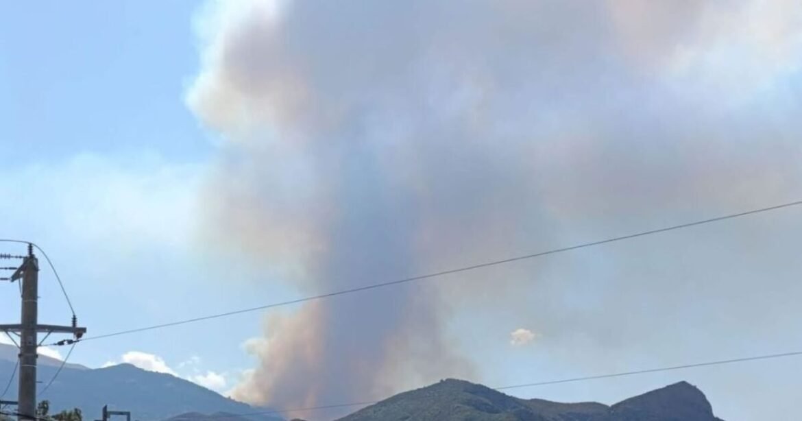 Φωτιά στο όρος Παναχαϊκό – Σηκώθηκαν 5 αεροπλάνα και 3 ελικόπτερα