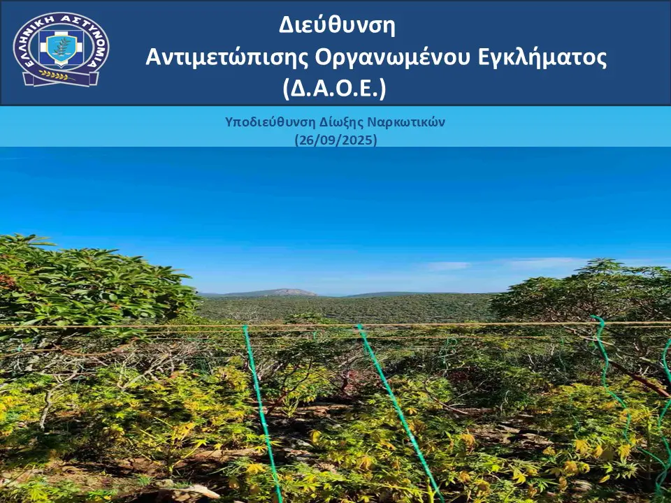 Με βαρύ ποινικό παρελθόν ο «εγκέφαλος» της συμμορίας που διακινούσε κάνναβη – Βρέθηκαν όπλα σε διαμέρισμα πάνω από παιδικό σταθμό