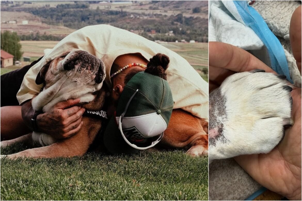 Lewis Hamilton: Ραγίζει καρδιές μετά την ευθανασία στον Roscoe – «Η πιο δύσκολη απόφαση της ζωής μου»