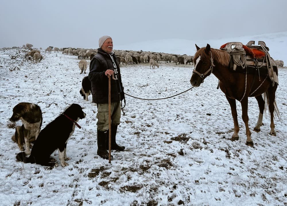 Έπεσαν τα πρώτα χιόνια στην Σαμαρίνα: Κτηνοτρόφοι παραμένουν στα θερινά βοσκοτόπια λόγω της ευλογιάς – Δείτε φωτογραφίες και βίντεο