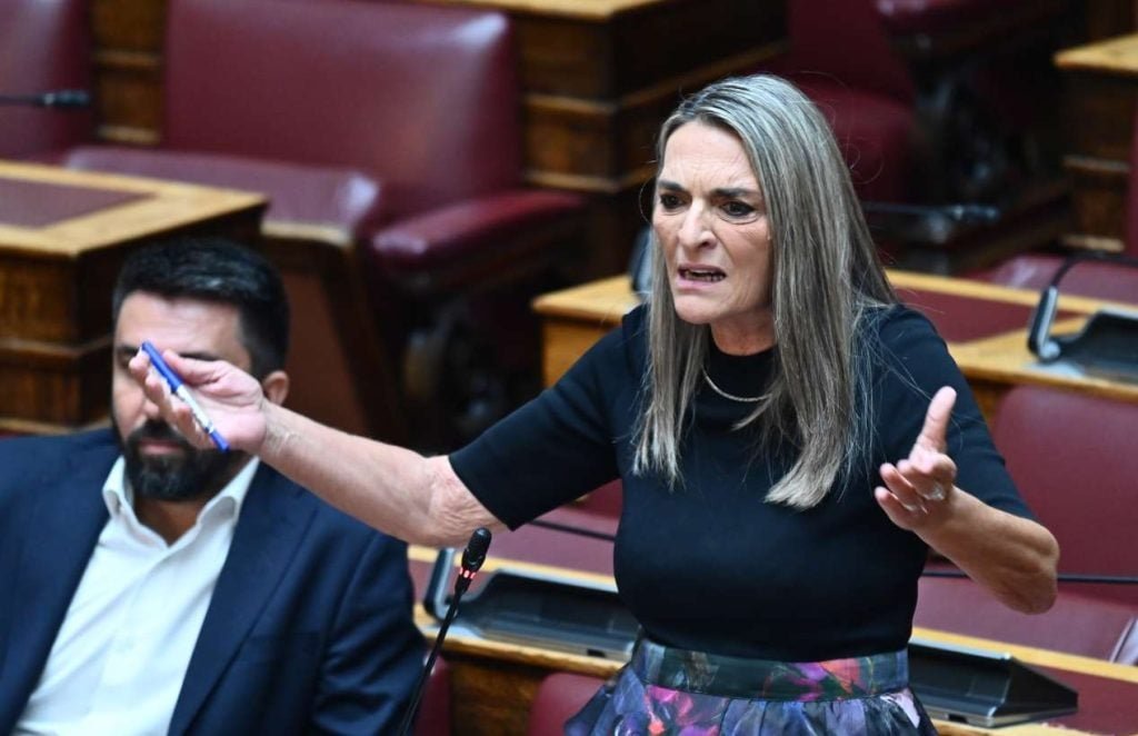 Στη… Βουλή ο στολίσκος για τη Γάζα: Πήγατε για τις selfies και τα βιντεάκια στο Τik Tok, είπε στην Πέρκα ο Γεωργιάδης