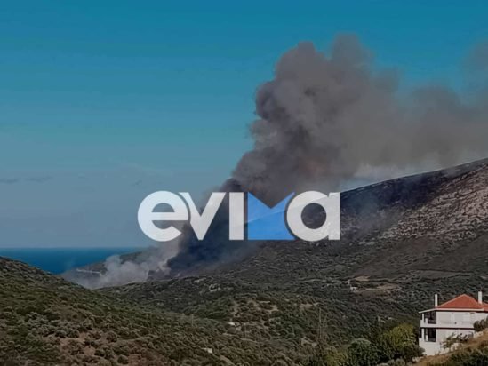 Φωτιά σε δασική έκταση στην Εύβοια – Επιχειρούν και 3 εναέρια μέσα